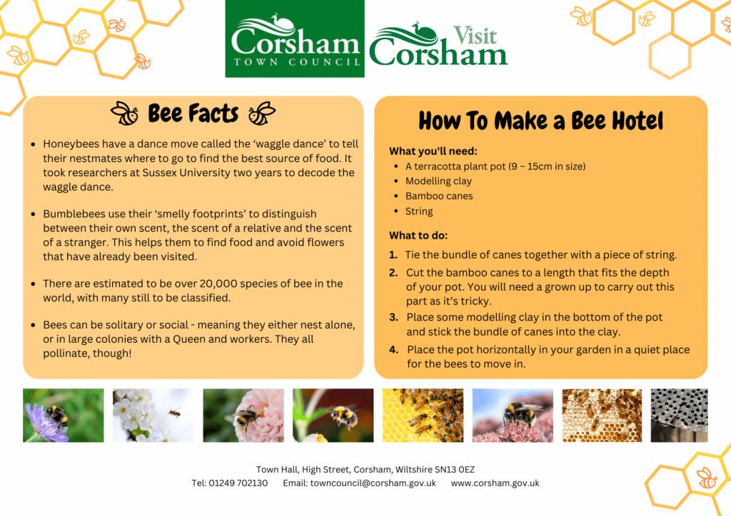 Corsham Easter Trail - Bee Fact Sheet